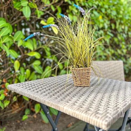 Triton Souterrain 10